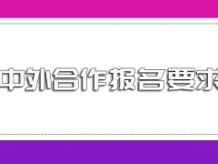 中外合作的报考基本要求是什么