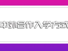 中外合作各个招生高校的入学方式是怎样的