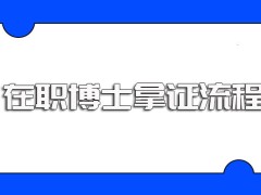 在职博士的招生基本要求有哪些每年的报考拿证流程是怎样的