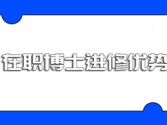 在职博士的进修优势都有哪些可以选择哪些途径在职考博呢