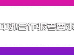 中外合作要求报考者有工作经验吗