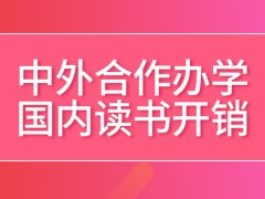 中外合作办学国内读书开销会小一些吗在海外读书才能拿到海外文凭吗