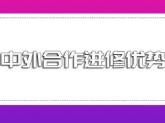 中外合作研修班的进修优势一般都有哪些全面深造完成可以获得怎样的收获