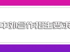 中外合作的招生要求是怎样的具体报名入学流程是怎样的