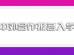 中外合作每年的报考条件都有哪些其具体入学流程是怎样的