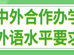 中外合作办学招生项目对报考者有外语水平要求吗入学之前有考试吗