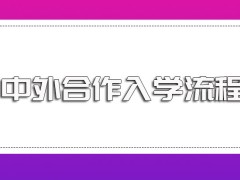 中外合作的入学流程以及其就读所需学费学制和上课情况介绍