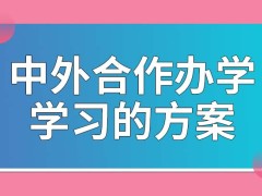 中外合作办学采用的是哪类学习方案呢有没有给发毕业证书的项目呢