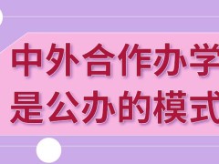 中外合作办学属于公办院校联合教学的模式吗用得着出国去读吗