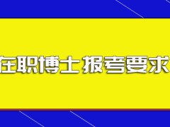 在职博士报考之前需满足的各项要求以及职场人员可选的进修方式