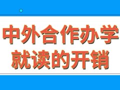 中外合作办学就读的开销比常规研究生大很多吗若选择网课学费能更低吗