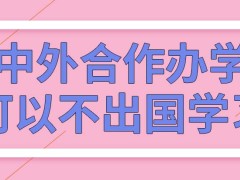 中外合作办学将到国外去接受教育吗这将会让人们得到几本证书呢