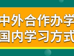 中外合作办学在国内学习会有几种方式呢在国内学习能不能得到毕业证呢