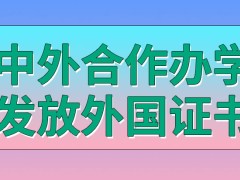 中外合作办学毕业会得到中外俩学校的毕业证吗学员有机会出国上课吗