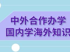 中外合作办学是可以在国内学习海外知识吗需要承担的学费是多少呢