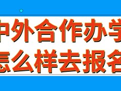 中外合作办学需要怎么样去报名呢报名者自身需要有较高的外语等级证书吗