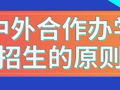 中外合作办学各校都执行同样的招生原则吗各校上课的形式区别大吗