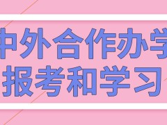 中外合作办学是在外国报考和学习的吗这除了硕士还有其它项目吗