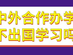 中外合作办学硕士和博士都不用出国学习吗能报的院校都是公办的吗