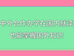 中外合作办学全程在国内就读也能掌握国外知识吗获取的证书能证明学历变化吗