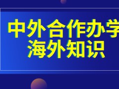 中外合作办学留在国内还能接触海外知识吗外语教学不是一般人能学会的吗