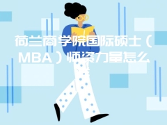 荷兰商学院国际硕士（MBA）师资力量怎么样