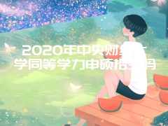 2020年中央财经大学同等学力申硕招生吗