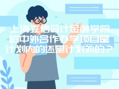 上海立信会计金融学院的中外合作办学项目是计划内的还是计划外的？