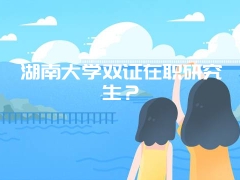 湖南大学双证在职研究生？