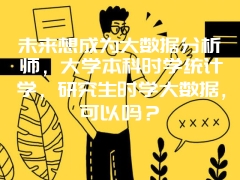 未来想成为大数据分析师，大学本科时学统计学，研究生时学大数据，可以吗？