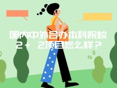 国内中外合办本科院校2＋ 2项目怎么样？