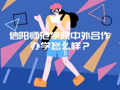 信阳师范学院中外合作办学怎么样？