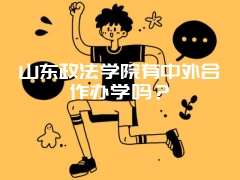 山东政法学院有中外合作办学吗？