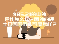 985.211的中外合作怎么样？国外的硕士证回国后认可度怎样？