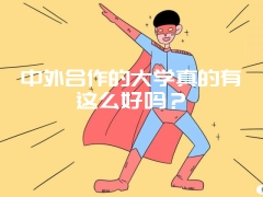 中外合作的大学真的有这么好吗？