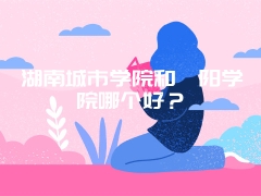 湖南城市学院和邵阳学院哪个好？