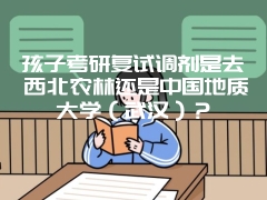 孩子考研复试调剂是去西北农林还是中国地质大学（武汉）？