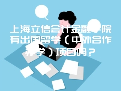 上海立信会计金融学院有出国留学（中外合作办学）项目吗？