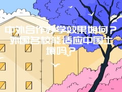 中外合作办学效果如何？外国名校能适应中国土壤吗？