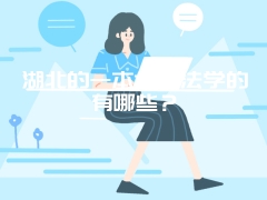 湖北的一本大学法学的有哪些？