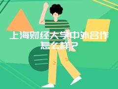 上海财经大学中外合作怎么样？