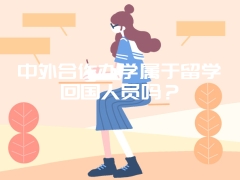 中外合作办学属于留学回国人员吗？