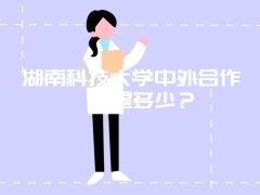 湖南科技大学中外合作學費是多少？