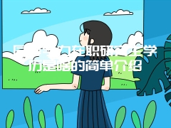 同等学力在职研究生学历是啥的简单介绍