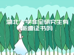 湖北大学非全研究生有派遣证书吗