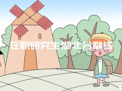 在职研究生湖北分数线