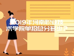 2019年河南职业技术学院单招总分多少？