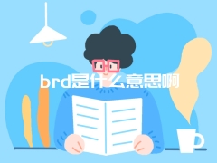 brd是什么意思啊