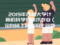 2019年西藏大学计算机科学与技术专业（定向班）高考招生简章