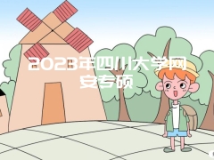 2023年四川大学网安专硕